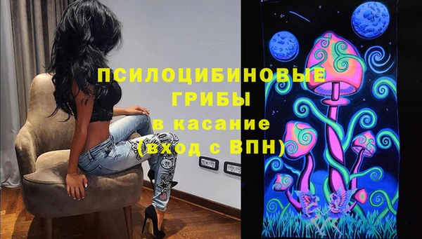 apvp Белокуриха
