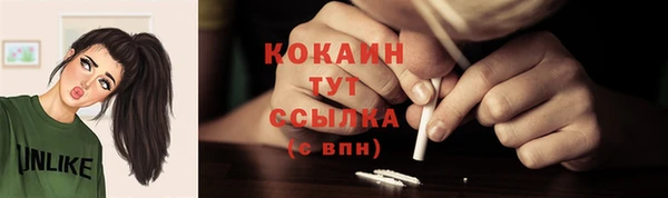 apvp Белокуриха