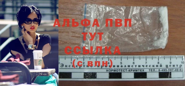 apvp Белокуриха