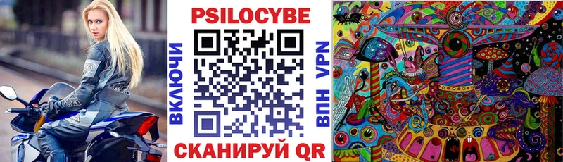 где купить наркотик  Славянск-на-Кубани  Галлюциногенные грибы Cubensis 