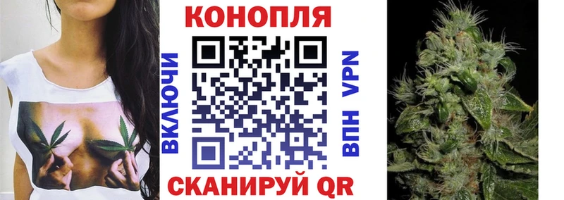 как найти наркотики  Славянск-на-Кубани  Бошки марихуана VHQ 